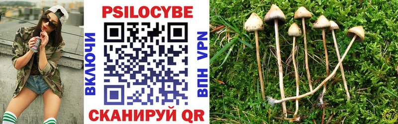 купить наркотики цена  Обоянь  Галлюциногенные грибы мицелий 